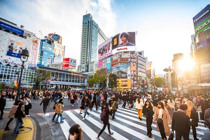 Best of Tokyo Guided Full Day City Tour with a Local — photo 11