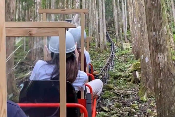Nara Private Tour Nature Temples Beyound Tourist Spots — photo 7