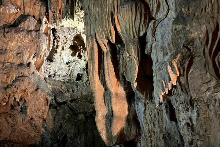 Nara Private Tour Nature Temples Beyound Tourist Spots — photo 8