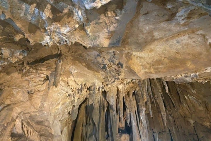 Nara Private Tour Nature Temples Beyound Tourist Spots — photo 11