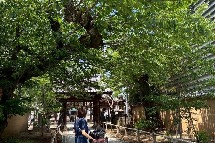 Tokyo Local food & Cycling Tour — photo 19