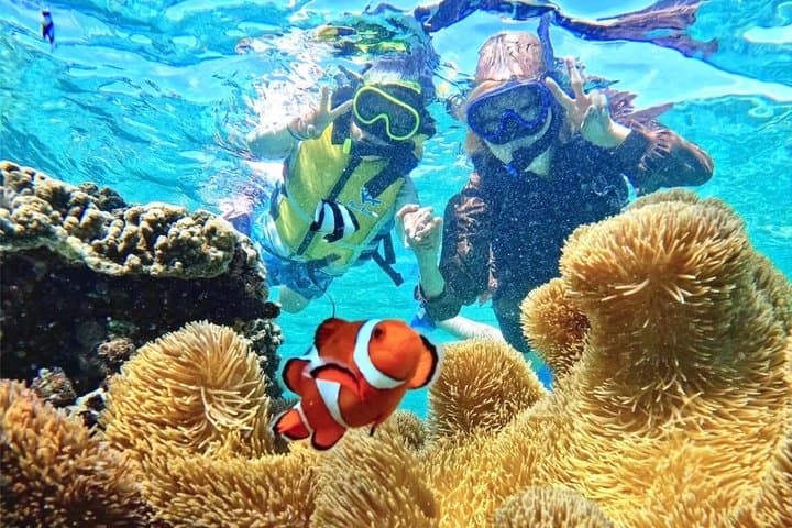 Okinawa Miyakojima 1 day Sea Turtle Snorkeling & Pumpkin Cave & Sea Kayak — photo 15