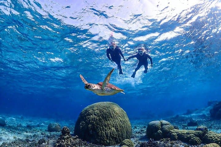 Okinawa Miyakojima 1 day Sea Turtle Snorkeling & Pumpkin Cave & Sea Kayak — photo 16