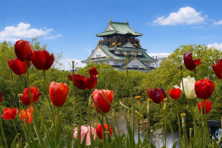 Walk Osaka in 4 Hours: Castle, Dotonbori, Highlights – Top Spots — photo 4