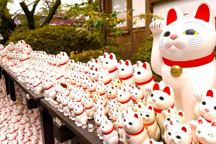 Tokyo: Gotokuji Lucky Cat Temple and Harajuku Cat Cafe Tour — photo 16