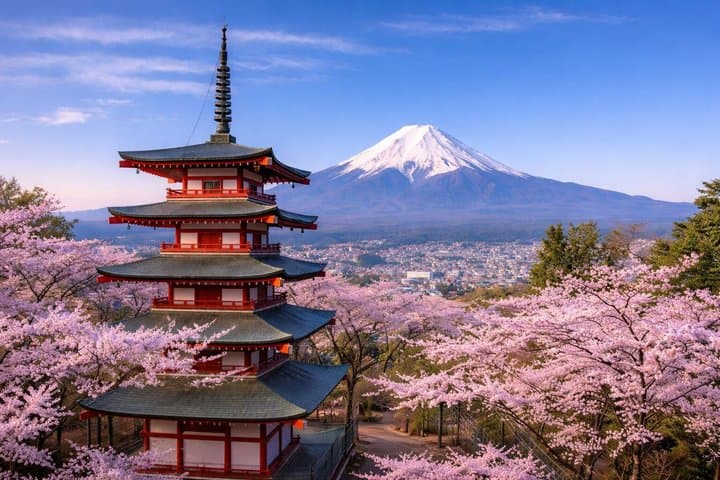 Private Mount Fuji Tour from Tokyo with English Speaking Driver