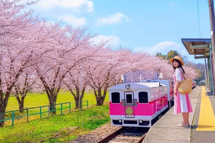 Takachiho Railway, Takachiho Gorge & Ama-no-Iwato Shrine Day Trip — photo 12