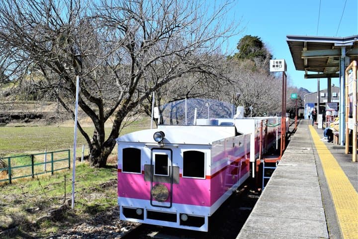 Takachiho Railway, Takachiho Gorge & Ama-no-Iwato Shrine Day Trip — photo 7