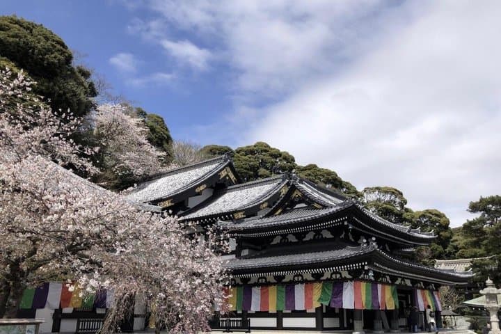 Tokyo Private Day Trip To Kamakura — photo 3