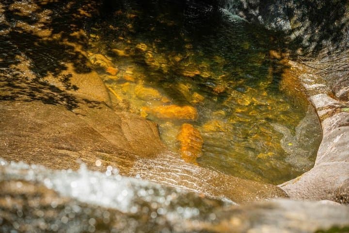 Sawanobori River Trekking Tour — photo 7