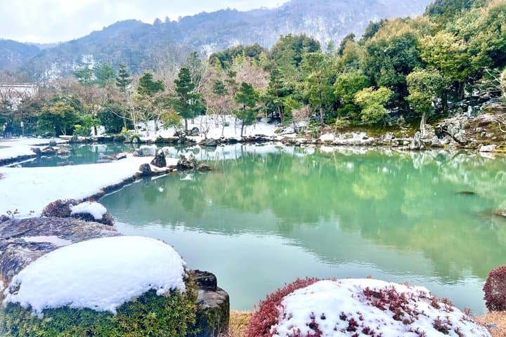 Bamboo Grove Temple and Garden Views Tour — photo 4