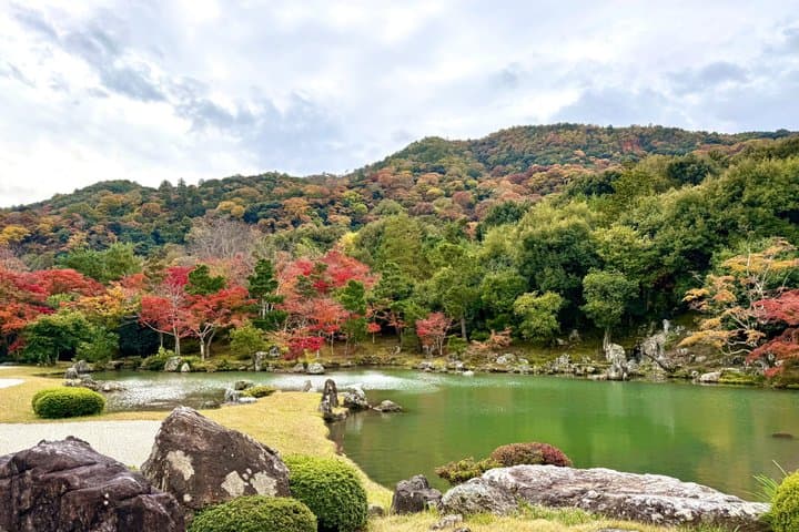 Bamboo Grove Temple and Garden Views Tour — photo 3