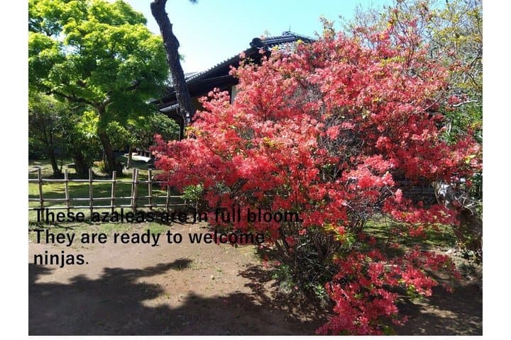 Ninja Explores Old Samurai Residences in Sakura — photo 15
