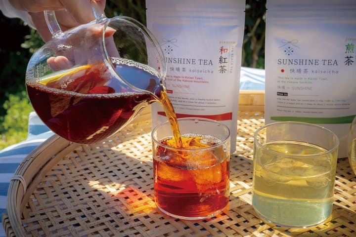 Authentic Tea Picking Experience and Farm to-Table Lunch Tokyo — photo 8