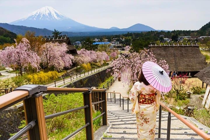 Arakurayama Cherry Blossom Five Story Pagoda and Oishi Park — photo 3