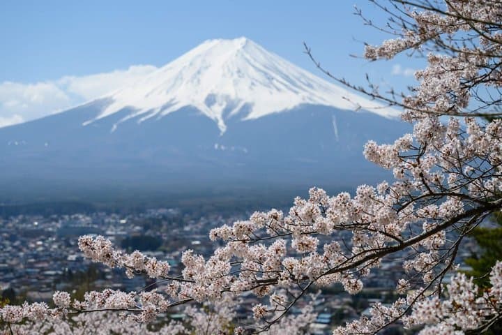 Arakurayama Cherry Blossom Five Story Pagoda and Oishi Park — photo 8