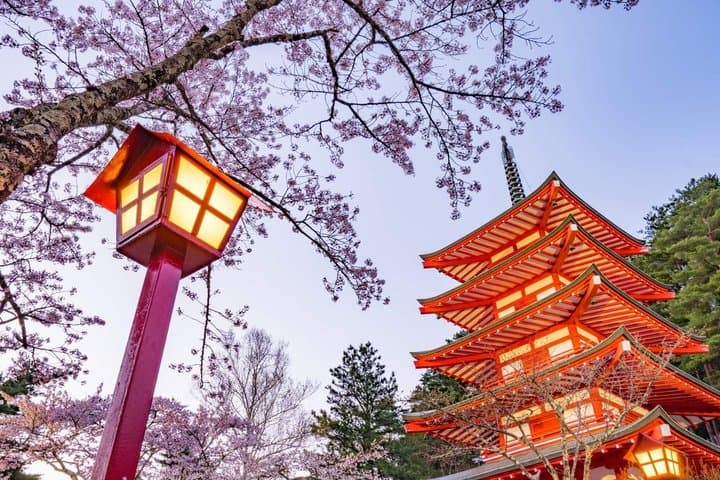 Arakurayama Cherry Blossom Five Story Pagoda and Oishi Park — photo 10