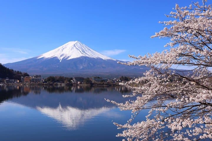 Arakurayama Cherry Blossom Five Story Pagoda and Oishi Park — photo 12
