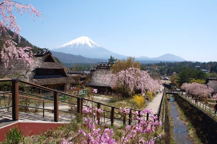 Arakurayama Cherry Blossom Five Story Pagoda and Oishi Park — photo 5