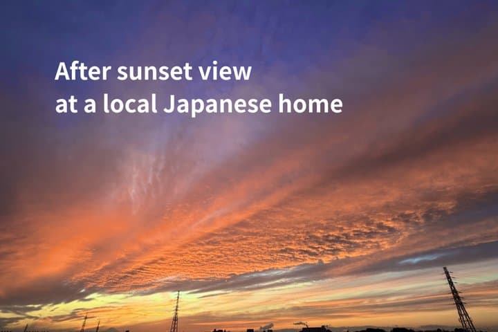 Tokyo Local Home Experience: Authentic Visit with Japanese Family — photo 6