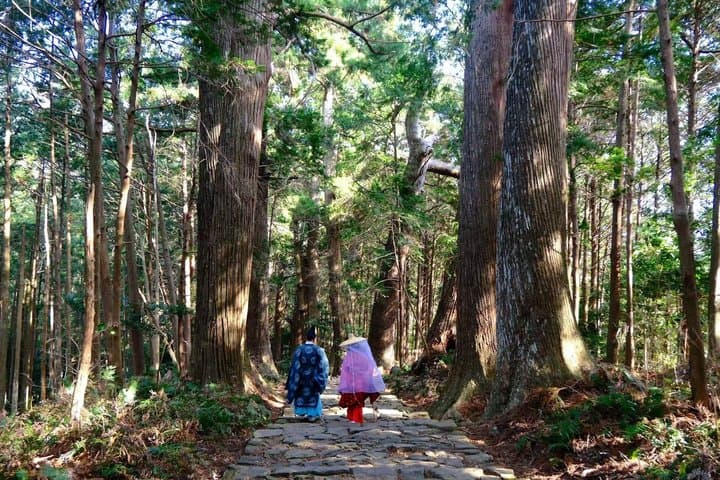 UNESCO KumanoKodo: Complete3Grand Shrines & Nachi Falls Day Trip — photo 2