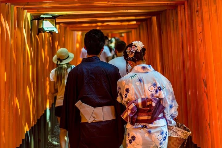 Nara Deer and Kyoto Panorama Kansai One Day — photo 2