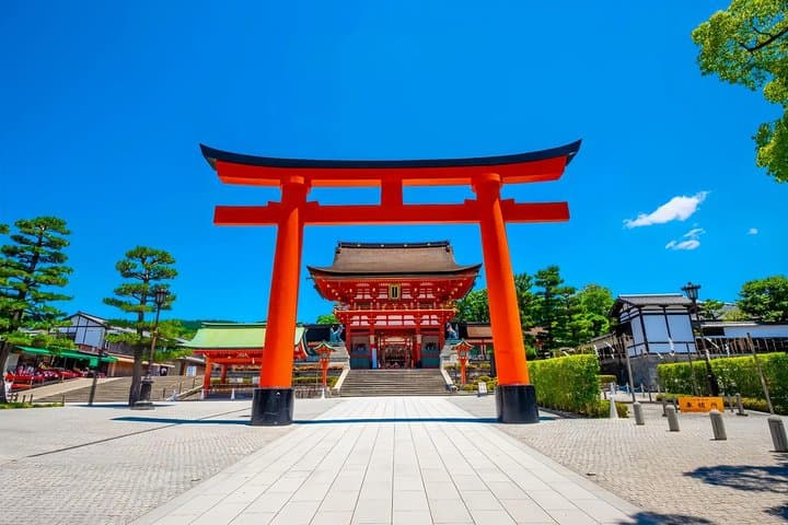 Nara Deer and Kyoto Panorama Kansai One Day — photo 10