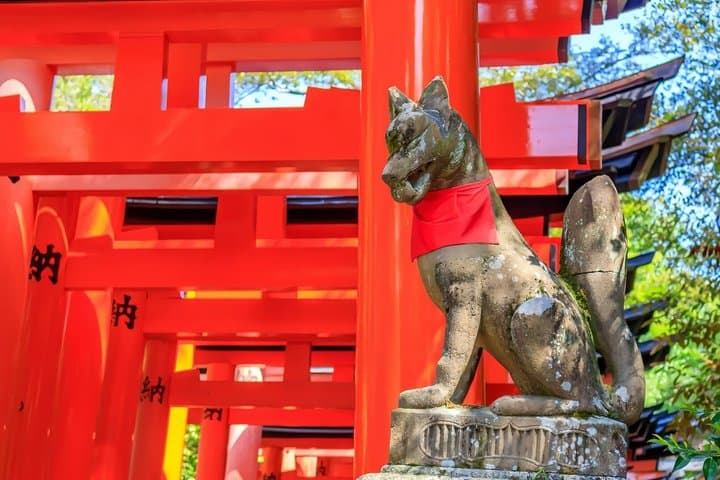 Nara Deer and Kyoto Panorama Kansai One Day — photo 5