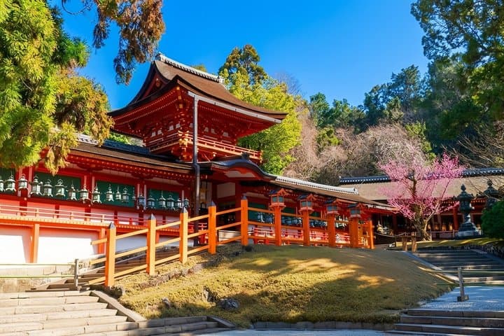 Nara Deer and Kyoto Panorama Kansai One Day — photo 13