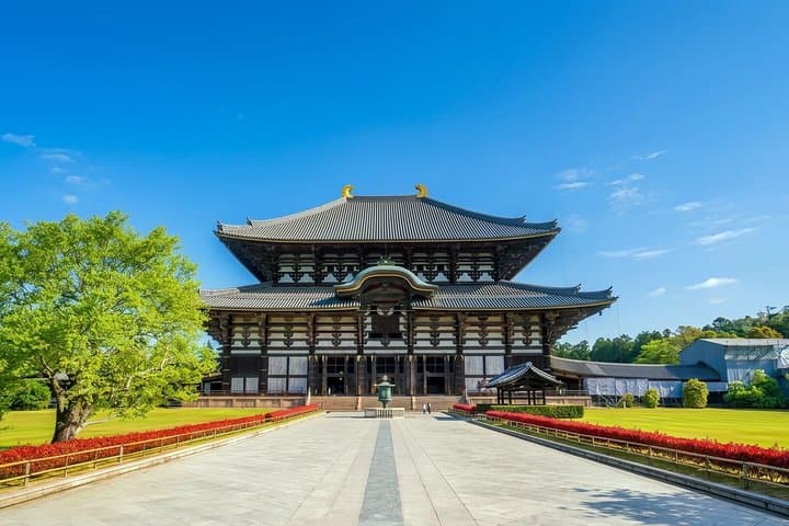 Nara Deer and Kyoto Panorama Kansai One Day — photo 16