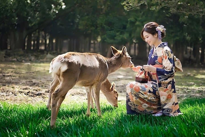 Nara Deer and Kyoto Panorama Kansai One Day — photo 17
