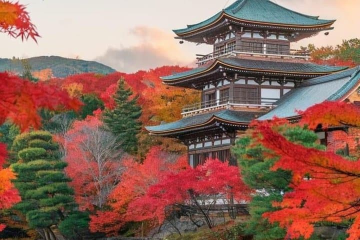 Nikko Private Tour with English Speaking Driver — photo 1