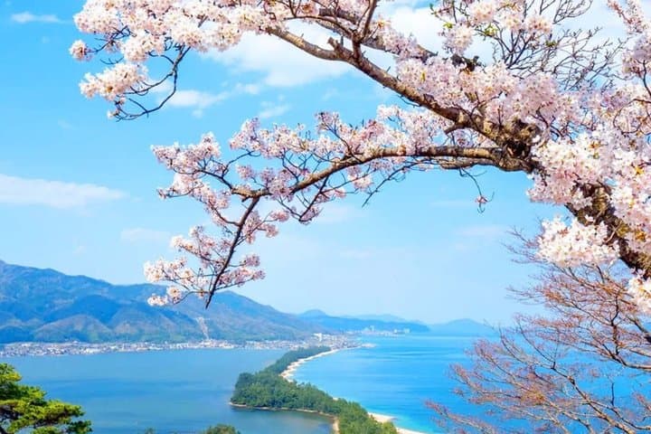 Kyoto Tango Coast Hidden Scenery Amanohashidate and Ine Day Trip — photo 11