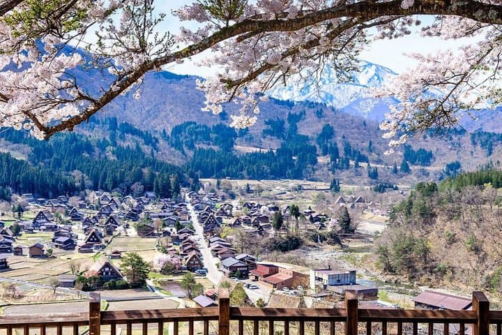 Hida Takayama & Shirakawa-go Gassho Village Day Trip from Nagoya — photo 10