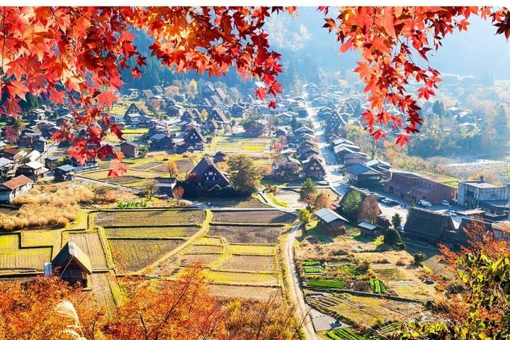Hida Takayama & Shirakawa-go Gassho Village Day Trip from Nagoya — photo 3