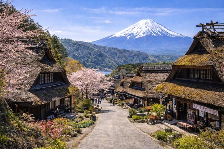 Private Mount Fuji Tour from Tokyo with English Speaking Driver — photo 7