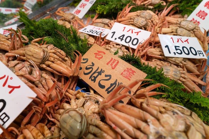 Kanazawa: Main Sights and Hidden Spots Guided Walking Tour — photo 5