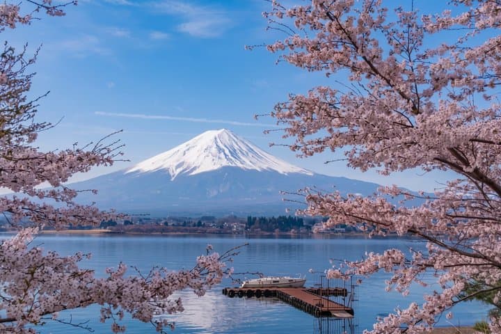 From Tokyo : Mount Fuji, Oishi Park & Kawagoe & Fuji-Q Highland — photo 6