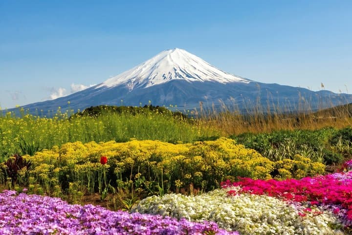 From Tokyo : Mount Fuji, Oishi Park & Kawagoe & Fuji-Q Highland — photo 3