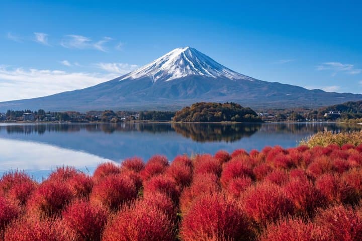 From Tokyo : Mount Fuji, Oishi Park & Kawagoe & Fuji-Q Highland — photo 8