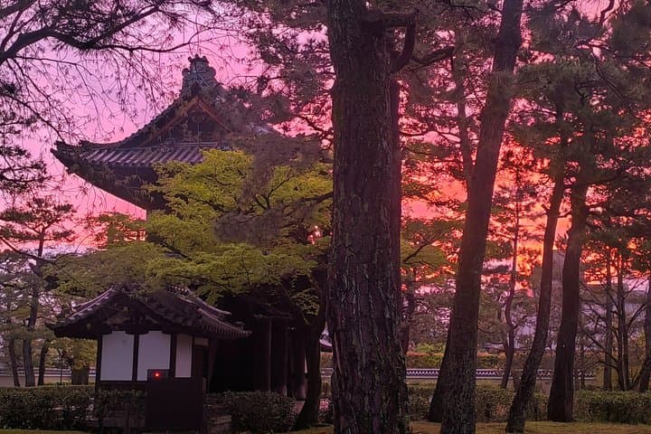 Kyoto Dark History: Geisha, Ghost, Taboo,Forbidden Tales (Max.12) — photo 7