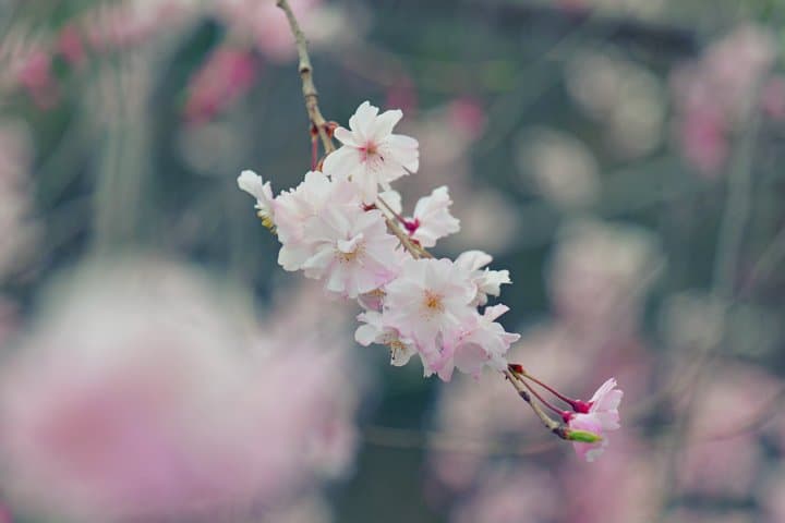 Osaka Cinematic Film experience Video + Photo (ONLY ONE BOOKING) — photo 12
