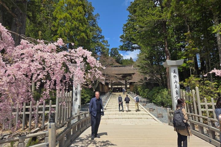 Koyasan Private Tour: Kongobuji & Danjo Garan with Spanish Guide — photo 6