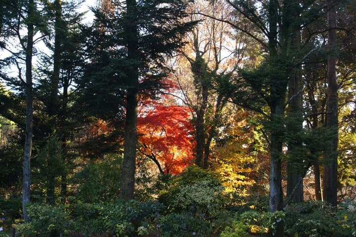 Kyoto On Location Watercolor Workshop — photo 4