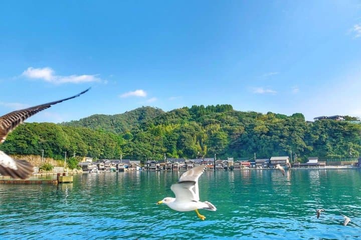 Kyoto Amanohashidate Ine Funaya and Ine Bay Scenic Day Trip — photo 3