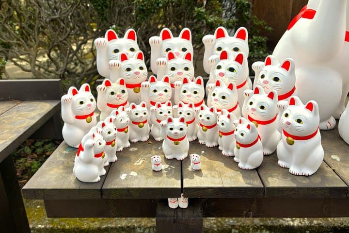Tokyo: Gotokuji Lucky Cat Temple and Harajuku Cat Cafe Tour — photo 14