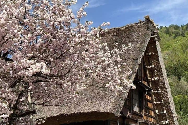 Takayama and Shirakawa-go Day Tour from Nagoya — photo 2