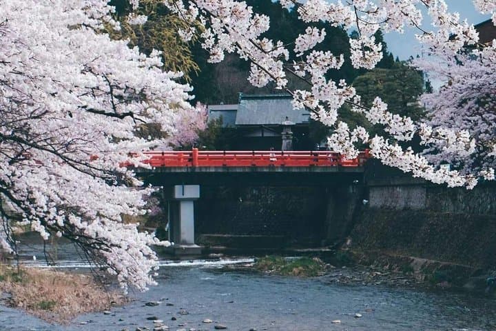 Takayama and Shirakawa-go Day Tour from Nagoya — photo 3