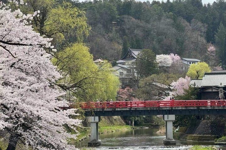 Takayama and Shirakawa-go Day Tour from Nagoya — photo 4