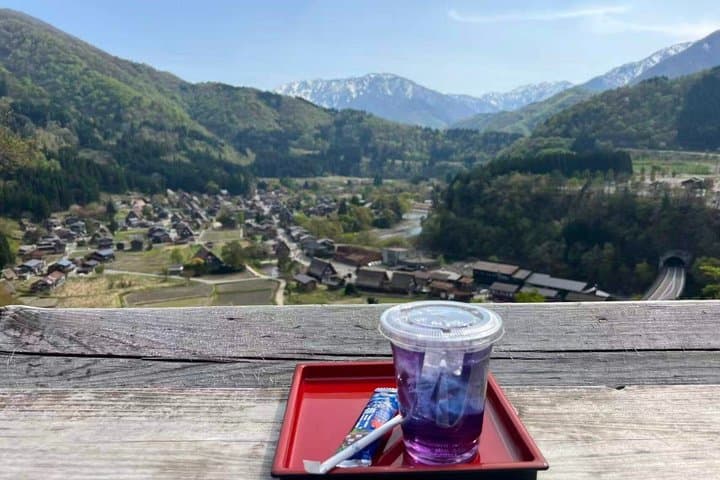 Takayama and Shirakawa-go Day Tour from Nagoya — photo 6